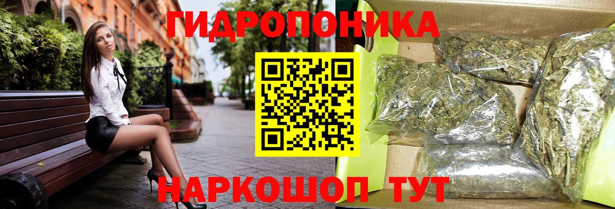 Каннабис индика  Конопля сатива  Кстово  Вход с VPN 